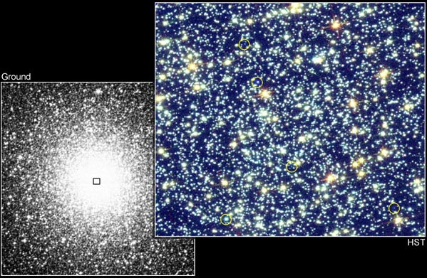 Blue Stragglers in Globular Clusters