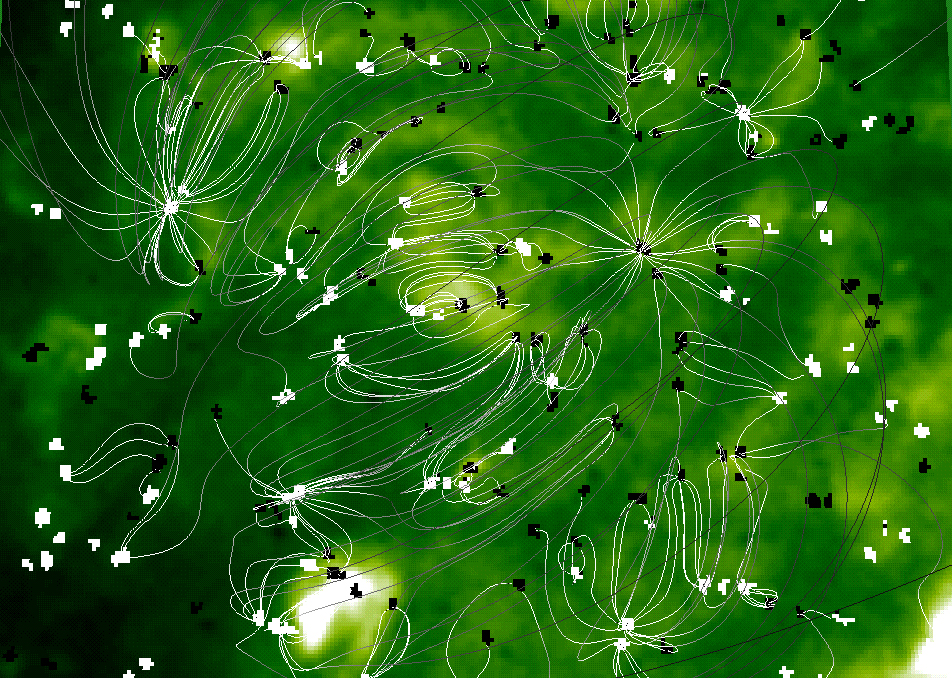 The Magnetic Carpet Of The Sun