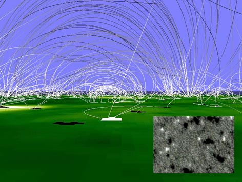 The Magnetic Carpet Of The Sun