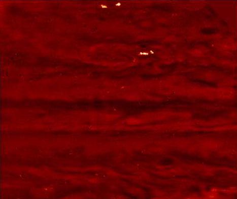 Night Lightning on Jupiter