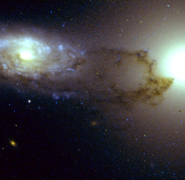 Dusting Spiral Galaxies