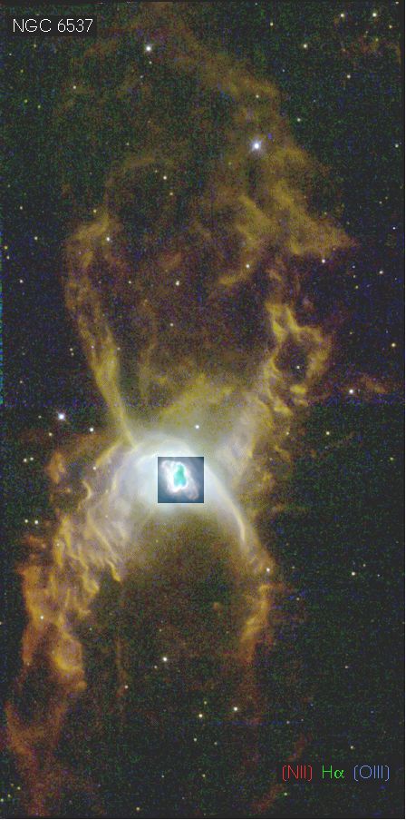 The Red Spider Planetary Nebula