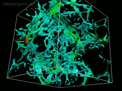 The Lyman Alpha Forest