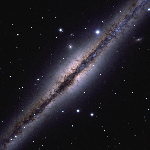 Interstellar Dust-Bunnies of NGC 891