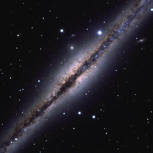 Interstellar Dust-Bunnies of NGC 891