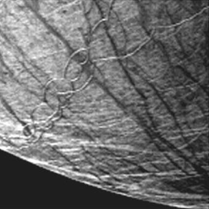 Ice Cusps on Europa