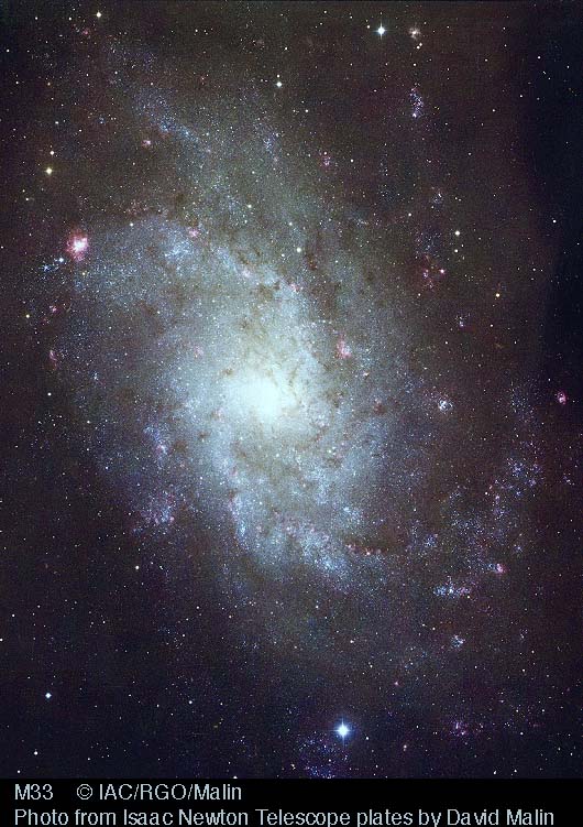 Nearby Spiral M33