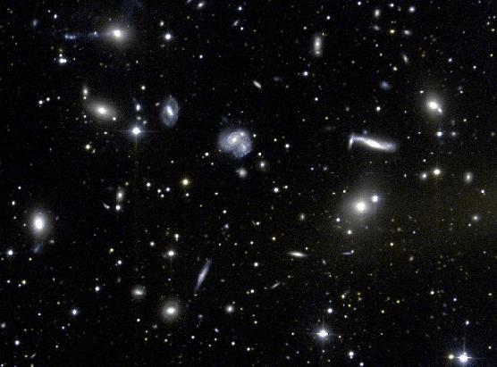 Hercules Galaxies