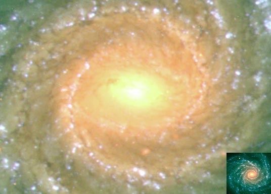 Spiral Galaxy NGC 1232