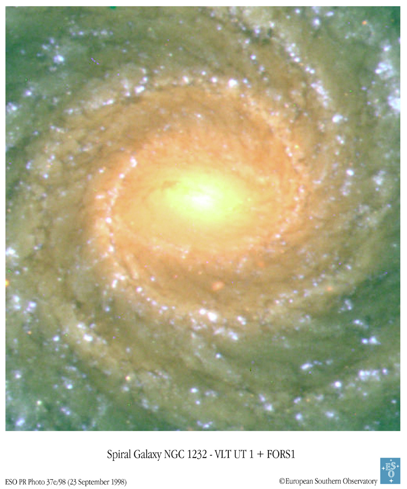 Spiral Galaxy NGC 1232
