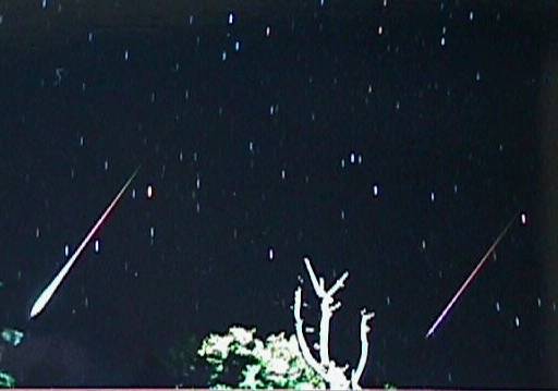 Bright Leonids