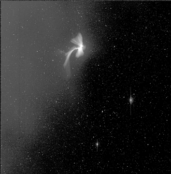 A Leonid Meteor Explodes