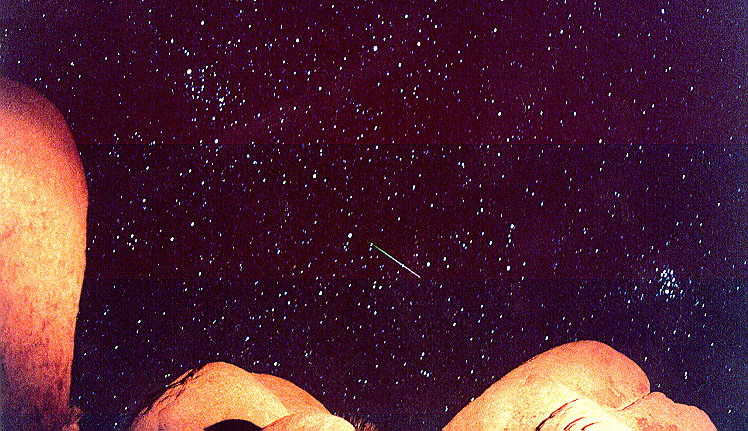 Leonids 1998: A Safe Meteor Storm