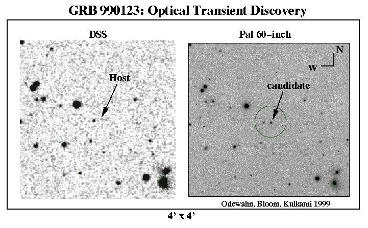 Galaxy And Gamma-ray Burst
