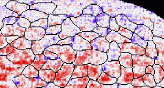 The Solar Wind Emerges