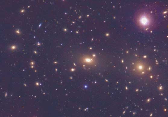 The Coma Cluster of Galaxies