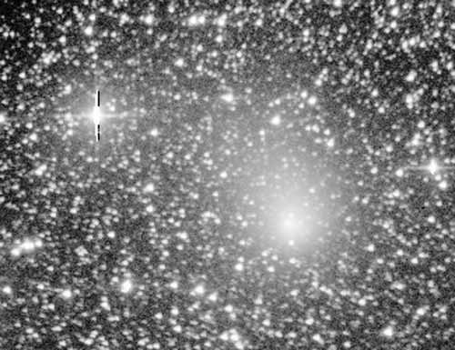 Introducing Comet Lee