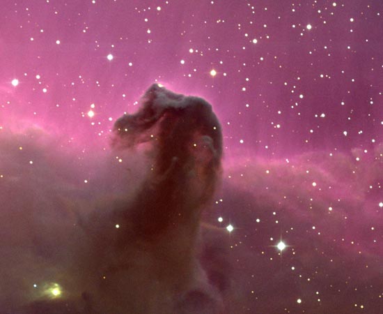 The Horsehead Nebula