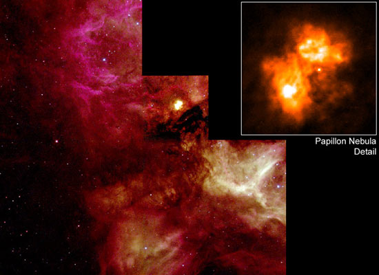 N159 and the Papillon Nebula