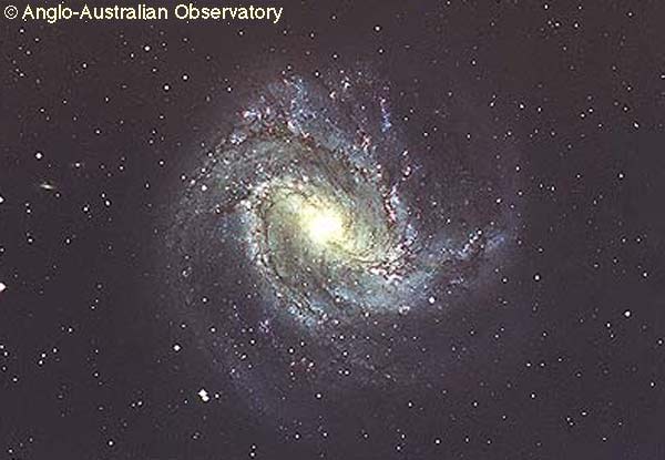 M83: A Barred Spiral Galaxy