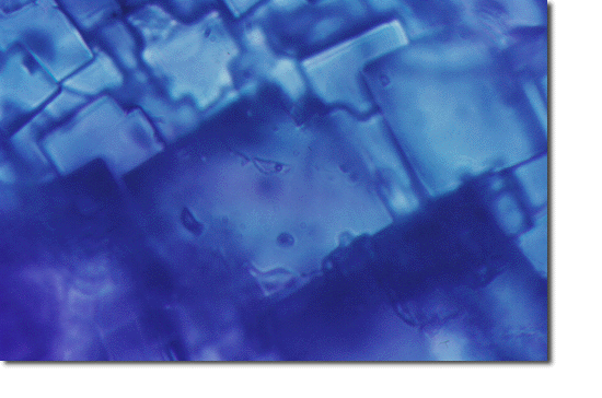 Water Found in Space Rock