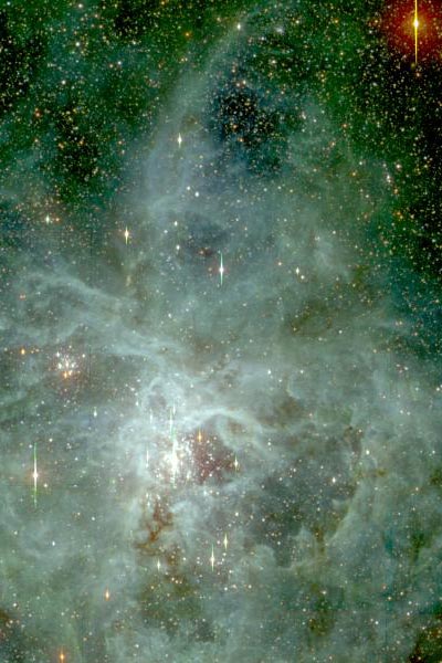 In the Heart of the Tarantula Nebula