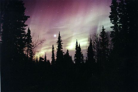 Aurora Through a Moonlit Sky