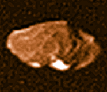 Jupiter's Moon Amalthea
