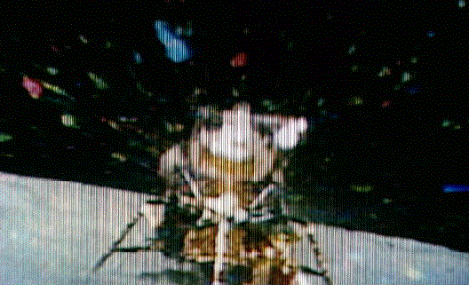 Blasting Off from the Moon