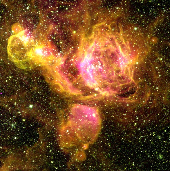 A Star Forming Region in the LMC