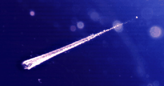 Catching Falling Stardust