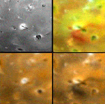 Volcano Euboea Fluctus On Io