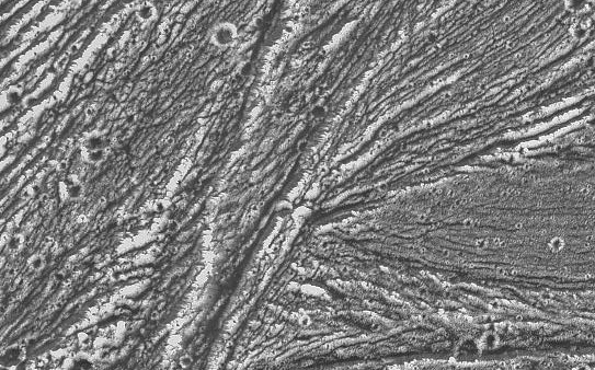 Galileo Photographs Ganymede