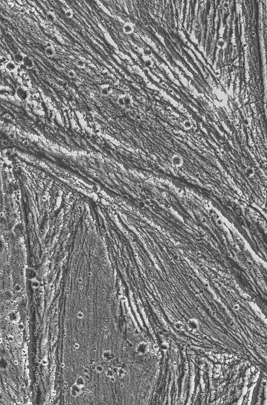 Galileo Photographs Ganymede