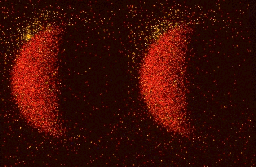 X-ray Moon and X-ray Star