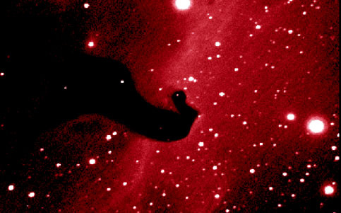 A Close-Up of the Horsehead Nebula 
Credit and Copyright: