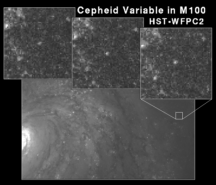 The Cepheids of M100