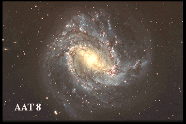 Spiral Galaxy M83