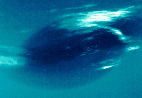 Neptune's Great Dark Spot: Gone But Not Forgotten