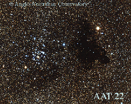 Bright Stars and Dark Clouds
Credit: