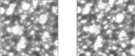 A MACHO View of Galactic Dark Matter