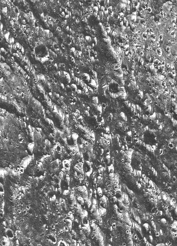 Ancient Cratered Plains on Ganymede