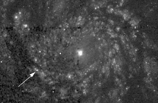 A Supernova in the Whirlpool